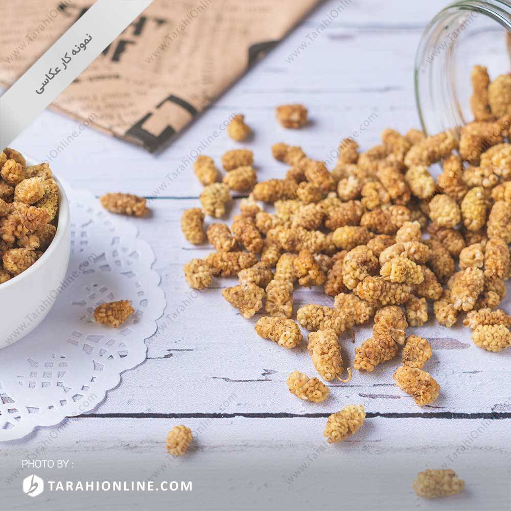 عکاسی از میوه خشک - توت